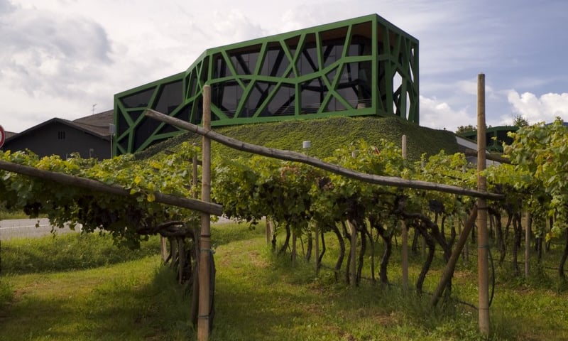 Architektura i wino - wystawa w Muzeum Architektury