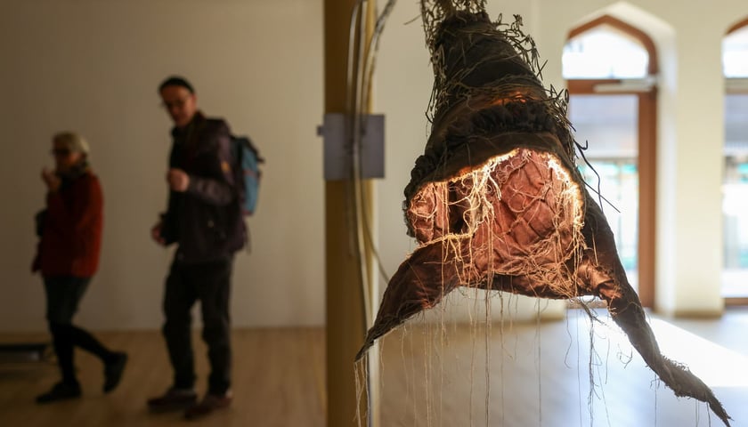 Zdjęcie instalacji Uli Lucińskiej i Michała Knychausa z wystawy "Świątynia Baśni" w galerii BWA Wrocław Główny