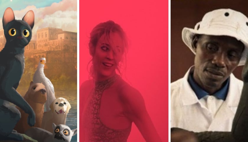 Na zdjęciu kolaż 3 zdjęć z filmów – od lewej „Flow”, „Animal”, „Dahomej”