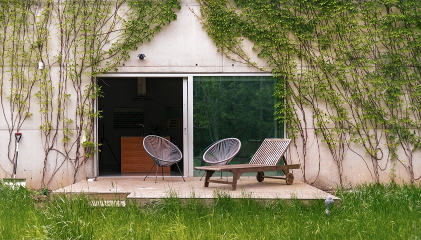 Dom na Siekierkach - zielona trawa, w tle minimalistyczny taras z dwoma krzesłami i leżanką, elewację spowija zielone pnącze