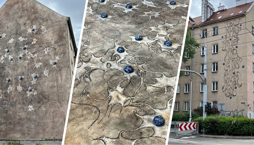 Projekt Neuroornamentu Anity Sieradzkiej (dwie wizualizacje i zdjęcie z wystawy)