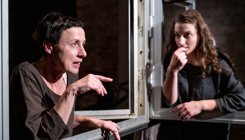 Spektakl "Słoje drzewa" w Teatrze na faktach. Zdjęcie archiwalne, wykonane podczas premiery spektaklu w czerwcu 2025.