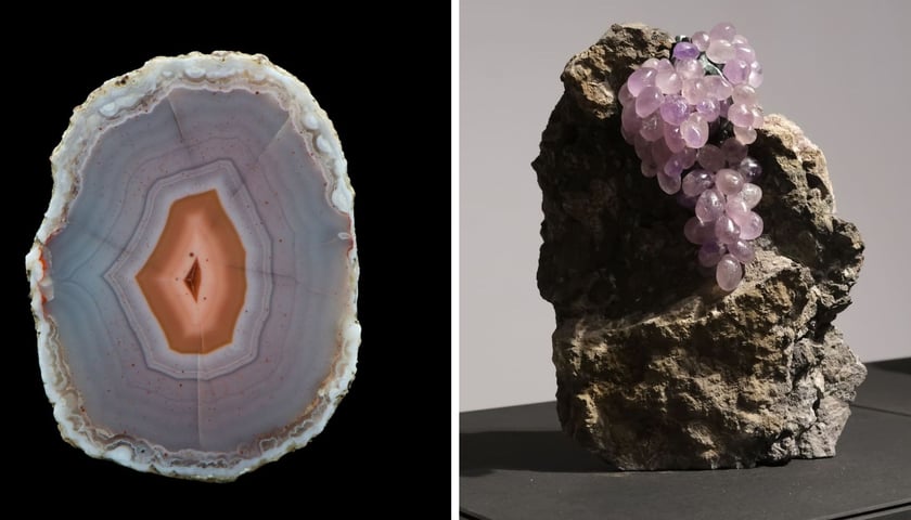 Owoce “Ziem Rzadkich” cykl makrofotografii; druk cyfrowy. Kolaż dwóch zdjęć.