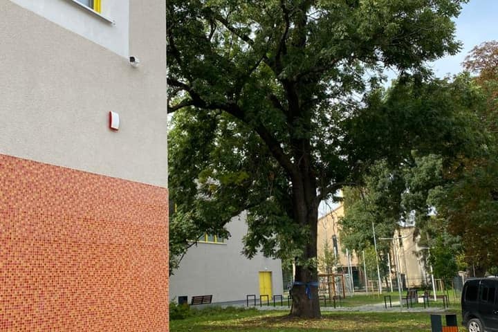 Rozbudowa Zespołu Szkolno- Przedszkolnego nr 5 przy ul. Osobowickiej