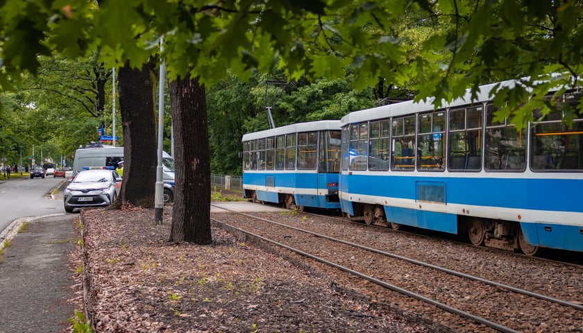 Służby na miejscu wypadku na Biskupinie 11 czerwca 2026