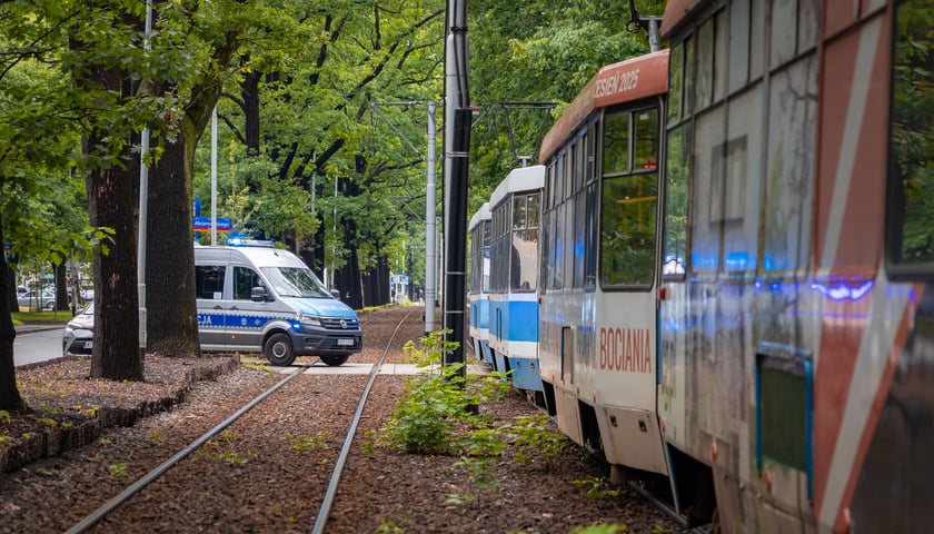 Służby na miejscu wypadku na Biskupinie 11 czerwca 2026