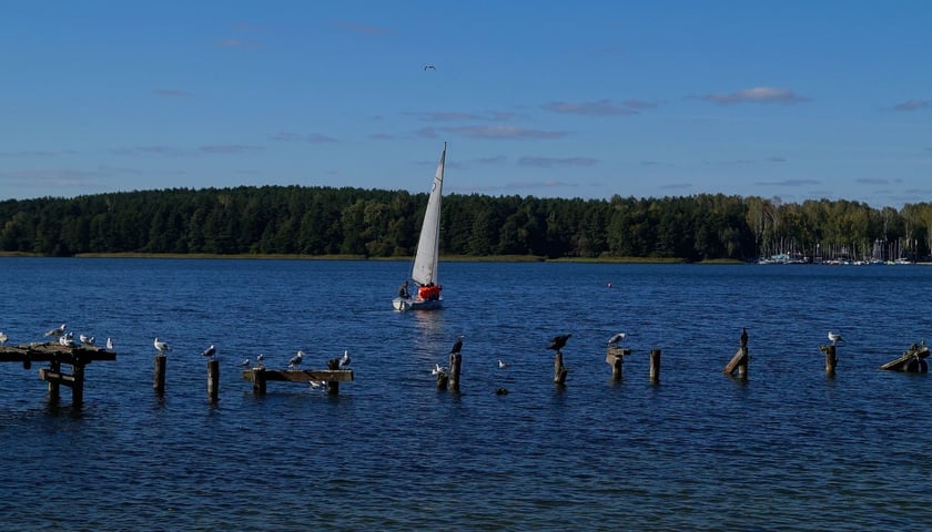 Powiększ obraz: Olsztyn kusi turystów bliskością jezior