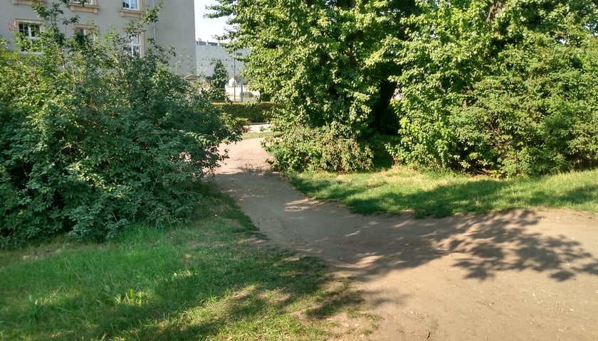 Pomiędzy mostem Grunwaldzkim a bulwarem Kaczyńskich powstanie rampa dla pieszych i rowerzystów.