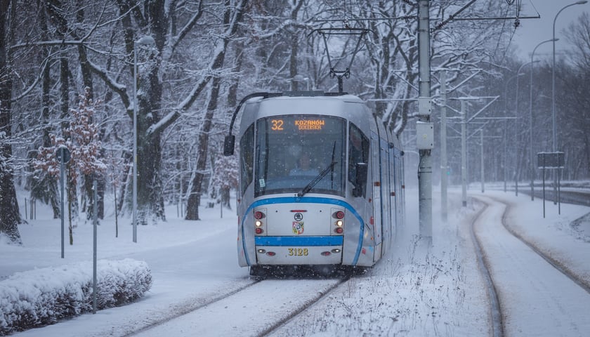 Zima we Wrocławiu