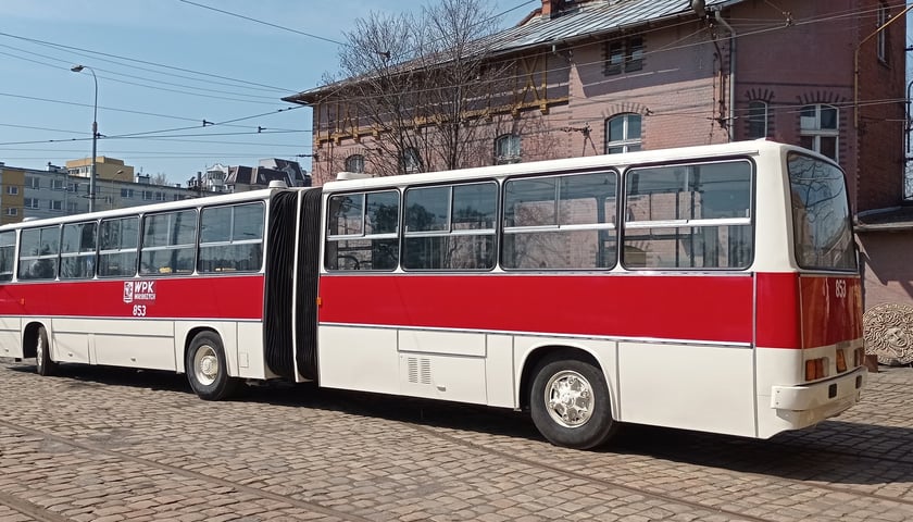 Powiększ obraz: Zabytkowy autobus, przegubowy Ikarus, który zabierze pasażerów w Noc Muzeów 2023