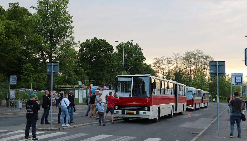 Powiększ obraz: <p><span style="font-size: 11.0pt; line-height: 107%; font-family: 'Calibri',sans-serif; mso-ascii-theme-font: minor-latin; mso-fareast-font-family: Calibri; mso-fareast-theme-font: minor-latin; mso-hansi-theme-font: minor-latin; mso-bidi-font-family: 'Times New Roman'; mso-bidi-theme-font: minor-bidi; mso-ansi-language: PL; mso-fareast-language: EN-US; mso-bidi-language: AR-SA;">Odrestaurowany Ikarus 280.26 z kolekcji Klubu Sympatyków Transportu Miejskiego</span></p>