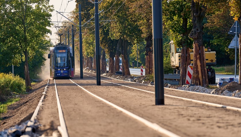 Powiększ obraz: Torowisko na ul. Kosmonautów pod koniec remontu. Jeszcze nie wszystko skończone, ale już jeżdżą tramwaje. Od 8 września wracają tu na stałe