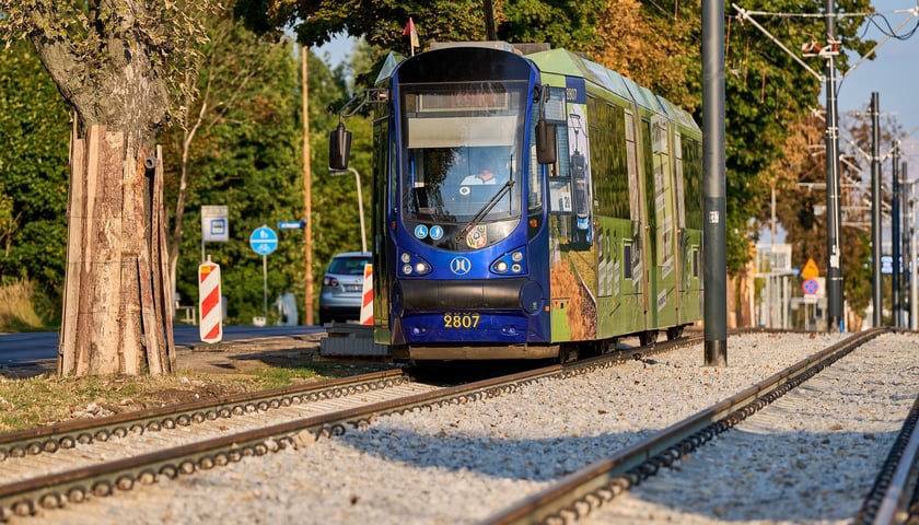 Powiększ obraz: Torowisko na ul. Kosmonautów pod koniec remontu. Jeszcze nie wszystko skończone, ale już jeżdżą tramwaje. Od 8 września wracają tu na stałe