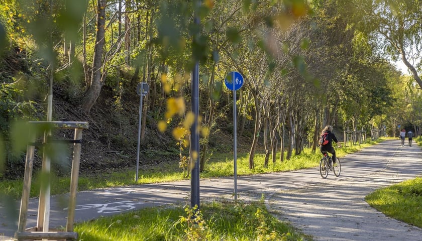 Powiększ obraz: Na zdjęciu fragment Promenady Krzyckiej, jednej z najpiękniejszych  i ciągle budowanych tras dla pieszych i rowerzystów we Wrocławiu