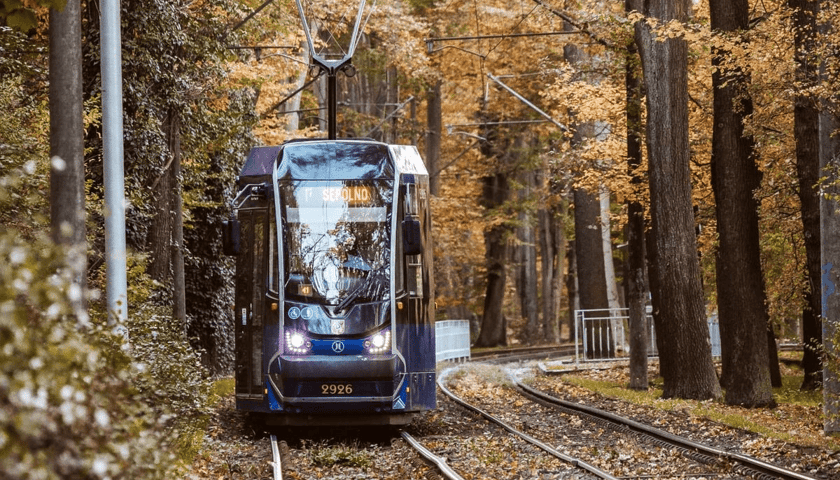 Powiększ obraz: Zdjęcie laureata konkursu MPK na zdjęcie do kalendarza na rok 2025