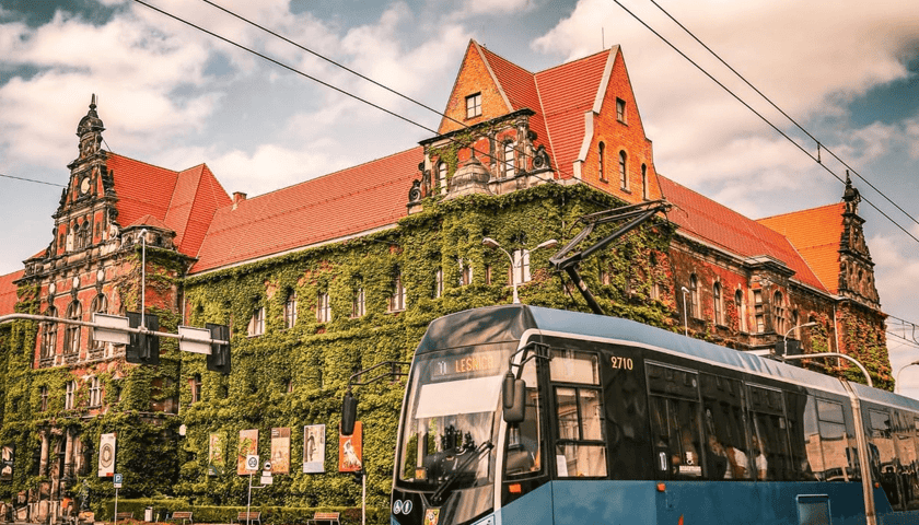 Powiększ obraz: Zdjęcie laureata konkursu MPK na zdjęcie do kalendarza na rok 2025