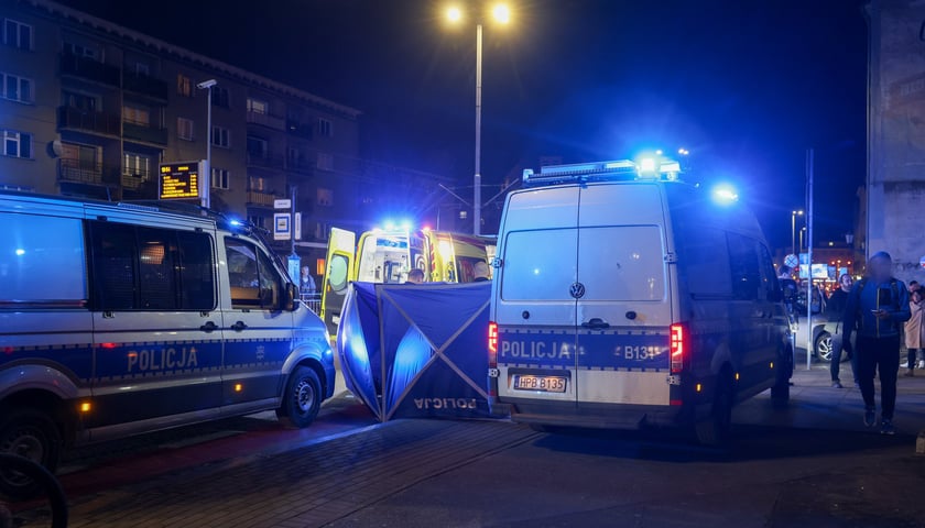 Powiększ obraz: <p>Potrącenie pieszego na Zamkowej - akcja służb, 6 listopada</p>