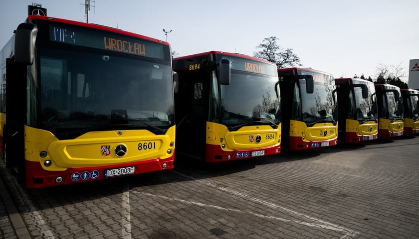 Powiększ obraz: Nowe Mercedesy Conecto MPK Wrocław