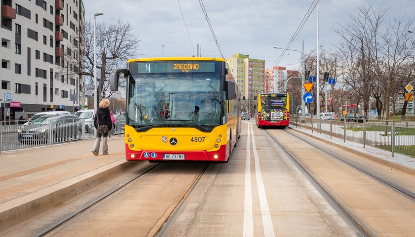 Powiększ obraz: W poniedziałkowym popołudniowym szczycie autobusy omijały korki jadąc nowym odcinkiem trasy autobusowo-tramwajowej na Bardzkiej