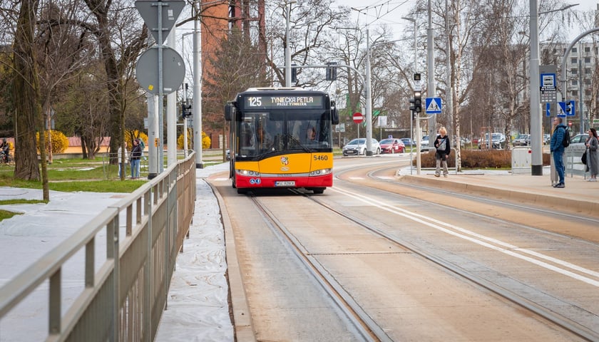 Powiększ obraz: W poniedziałkowym popołudniowym szczycie autobusy omijały korki jadąc nowym odcinkiem trasy autobusowo-tramwajowej na Bardzkiej