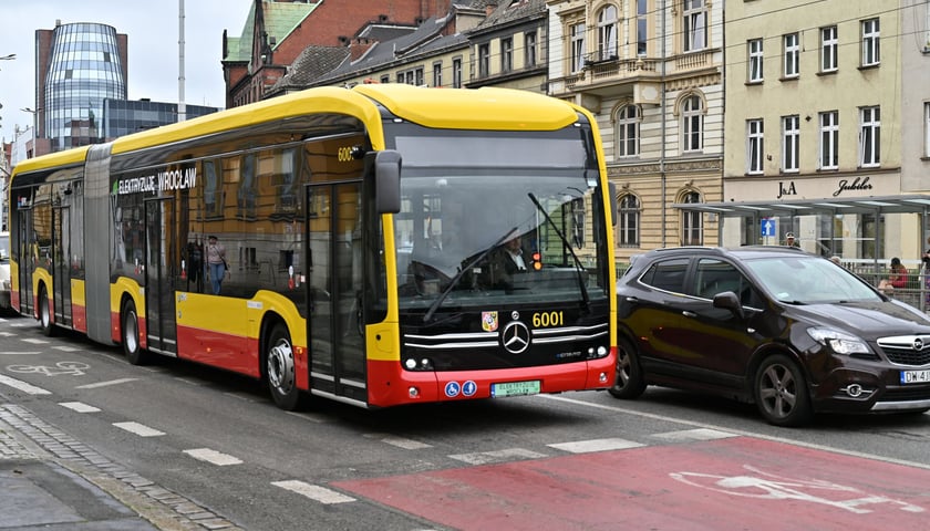 Powiększ obraz: Pierwszy 