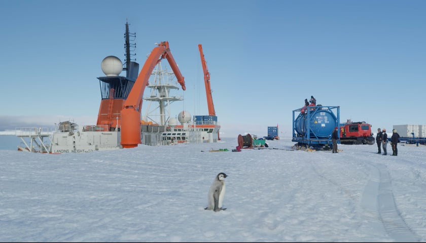 <p>kadr z filmu "Był sobie śnieg"</p>