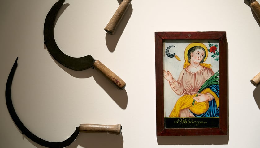 Wystawa &bdquo;Ala Savashevich. Twoje ciało to pole pracy&rdquo; w Muzeum Etnograficznym do 16 sierpnia
