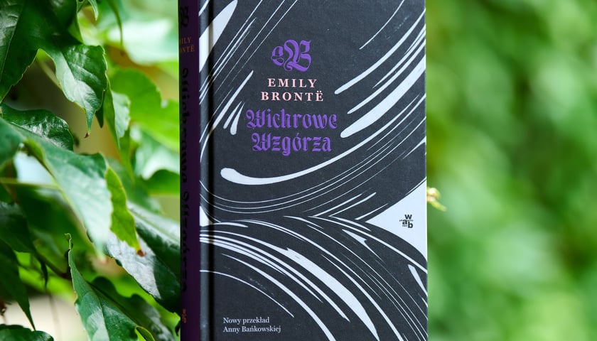 <p class="MsoNormal">Emily Bront&euml;, &bdquo;Wichrowe wzg&oacute;rza&rdquo;, przełożyła Anna Bańkowska, Wydawnictwo W.A.B.</p>