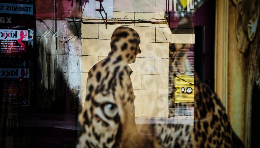 Jedna z prac brazylijskiego fotografa ulicznego Gustavo Minasa, która można obejrzeć na wystawie w Galerii ZPAF w ramach wydarzenia Z Bliska