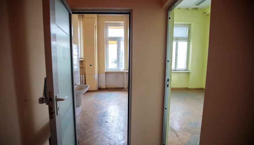 Kliniki na Bujwida, miejsce Survivalu 2026