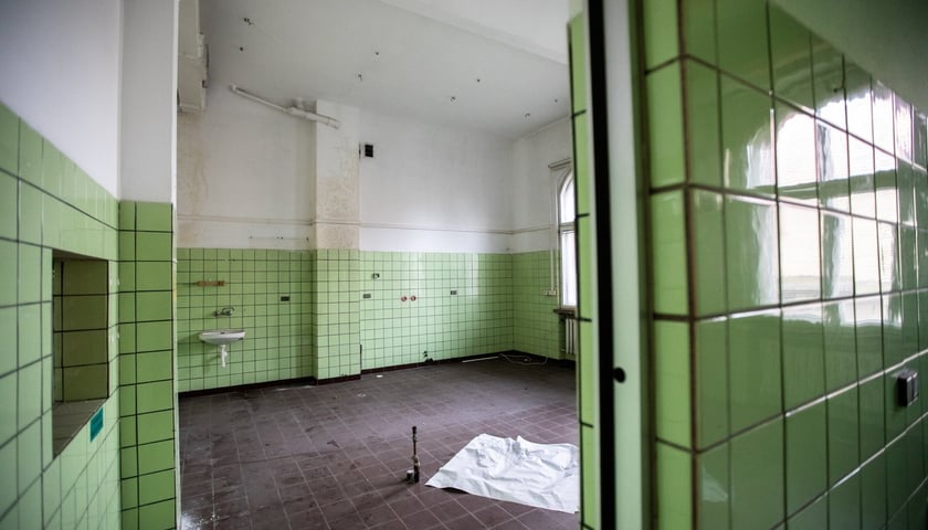 Kliniki na Bujwida, miejsce Survivalu 2026