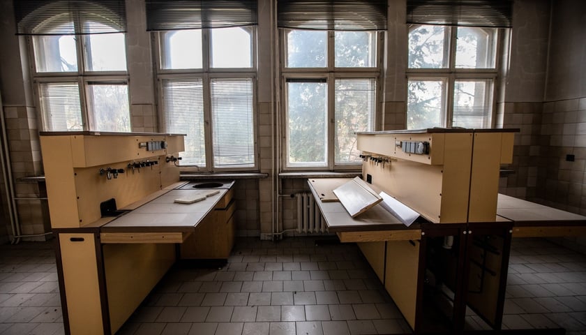 Kliniki na Bujwida, miejsce Survivalu 2026