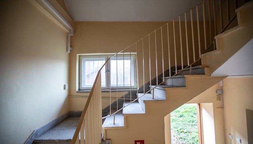Kliniki na Bujwida, miejsce Survivalu 2026