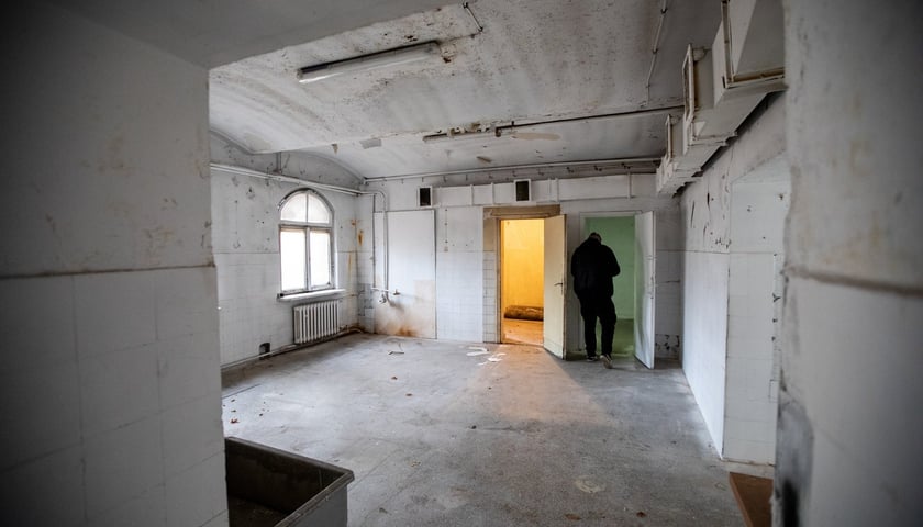 Kliniki na Bujwida, miejsce Survivalu 2026