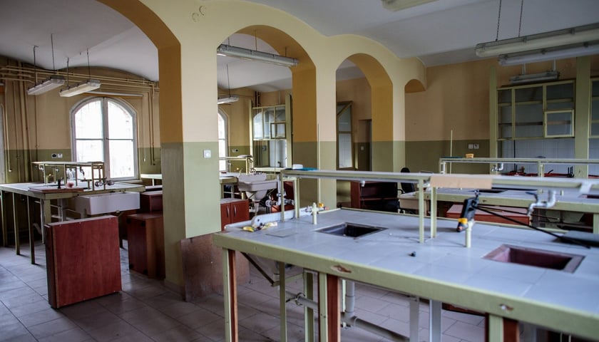 Kliniki na Bujwida, miejsce Survivalu 2026