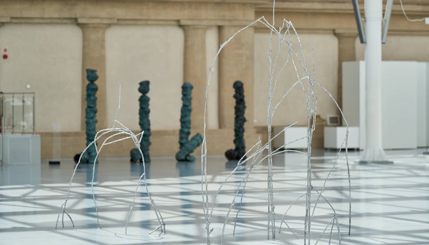 Instalacja &bdquo;Sub Rosa&rdquo; Anny Bujak