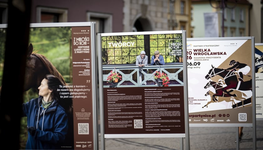 Plansze „Z miłości do koni...” na ulicy Świdnickiej