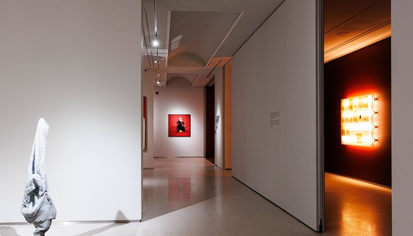 <p>Na pierwszym planie z lewej praca &bdquo;Echo&rdquo; Louise Bourgeois</p>
