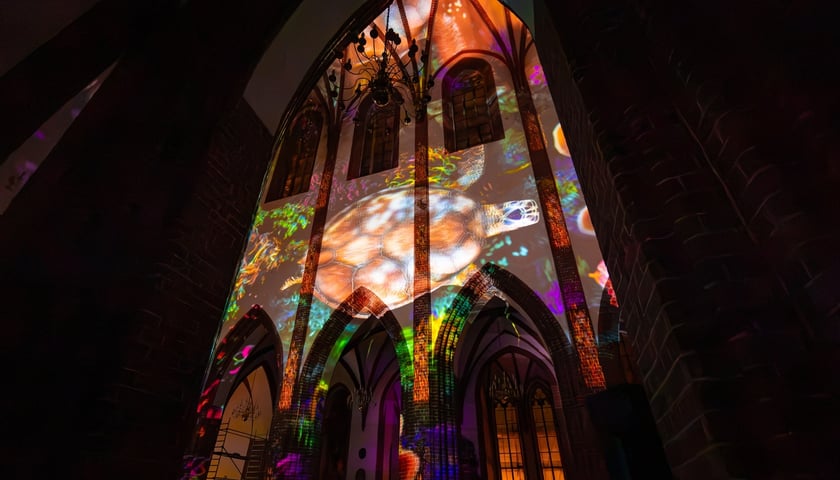 Spektakl świetlny „Genesis” w katedrze św. Marii Magdaleny