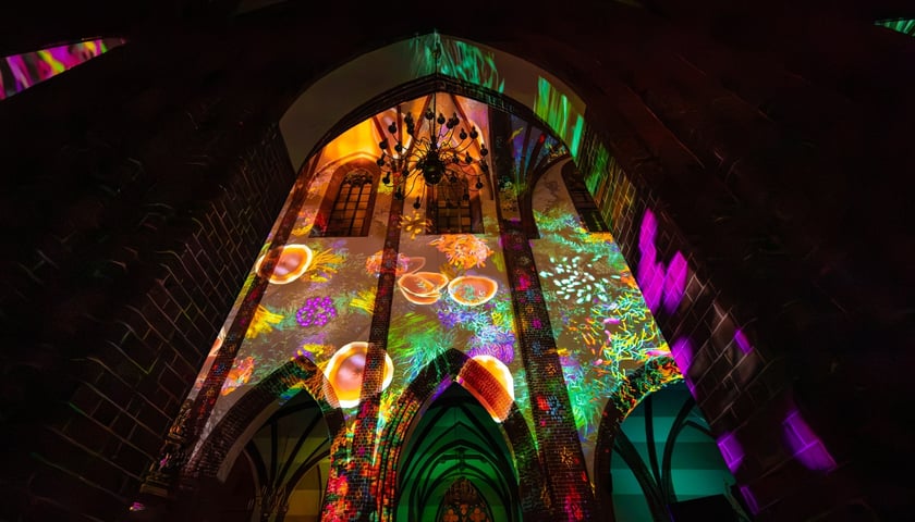 Spektakl świetlny „Genesis” w katedrze św. Marii Magdaleny