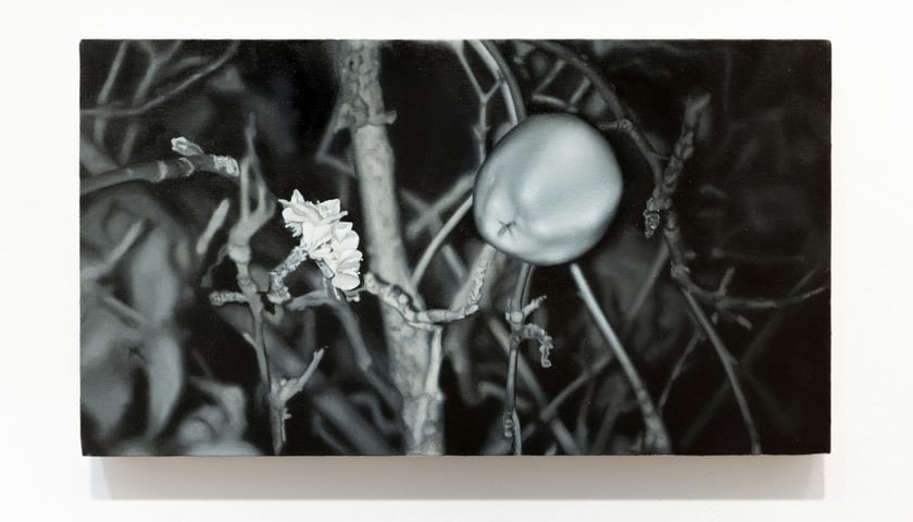 Małgorzata Pawlak, Mutacja 6 Lustro, 2025, 25x45 cm, olej na pł&oacute;tnie