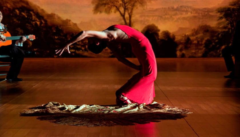 „Flamenco, flamenco” w DCF-ie