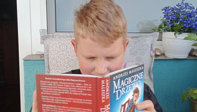 Seria "Magiczne drzewo" cieszy się popularnością wśród dzieci i młodzieży