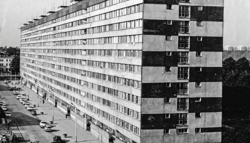 Superjednostka tudzież mrówkowiec przy Drukarskiej