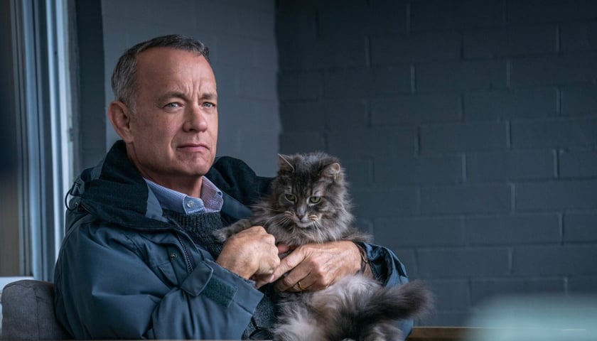 Na zdjęciu Tom Hanks z kotem w ramionach w filmie „Mężczyzna imieniem Otto”