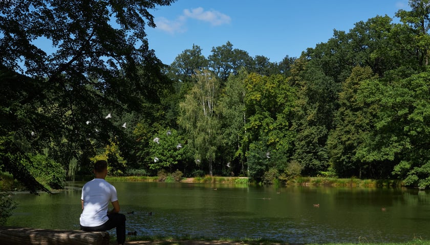 Pałac i park w Leśnicy