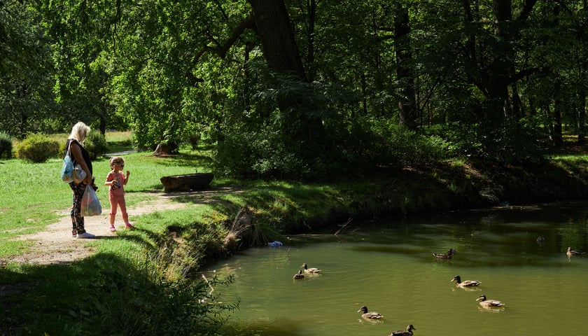 Pałac i park w Leśnicy