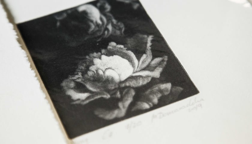 <p>Grafika artystyczna Malwy Domaradzkiej</p>