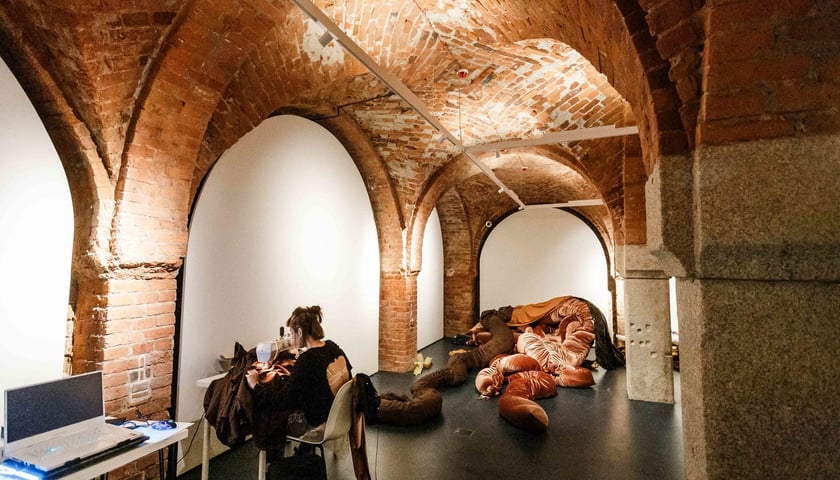 <p>Krupa Art Foundation (Rynek 27/28) &ndash; nowy adres dla wielbicieli wsp&oacute;łczesnej sztuki</p>