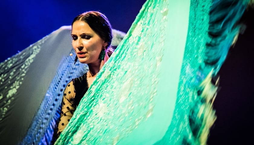 Dorota Dzięcioł